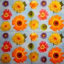 082 Daisies  - 3 ply (pink) - Atelier